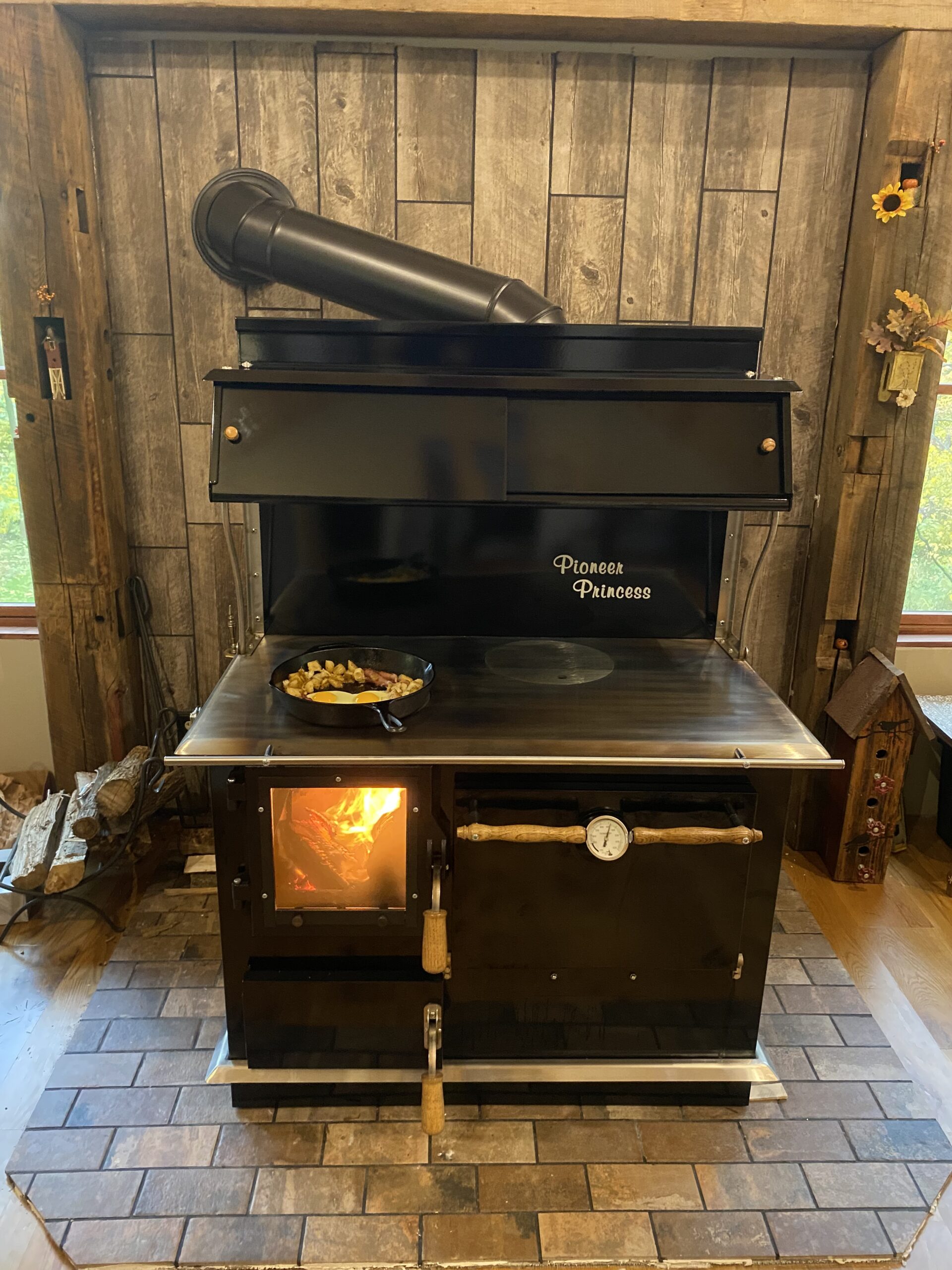 Pioneer Princess installed in customer's home with fire in firebox